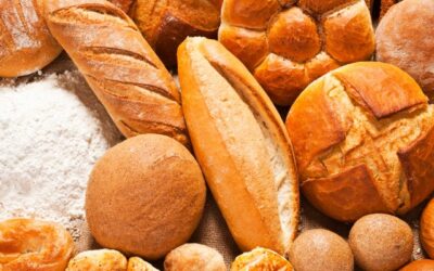 DANI KRUHA I ZAHVALNOSTI PLODOVIMA ZEMLJE