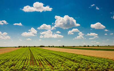 Upoznavanje najužeg zavičaja u kojem živimo
